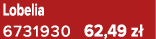 Lobelia 6731930 62,49 z 