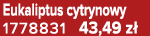 Eukaliptus cytrynowy 1778831 43,49 z 