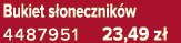 Bukiet s onecznik w 4487951 23,49 z 