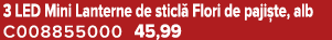3 LED Mini Lanterne de sticl Flori de paji te, alb C008855000 45,99
