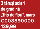 3  ru i solari de gr din  „Trio de flori”, maro C008890000 139,99