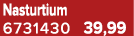 Nasturtium 6731430 39,99