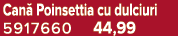 Can Poinsettia cu dulciuri 5917660 44,99