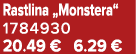 Rastlina „Monstera“ 1784930 20.49 € 6.29 €
