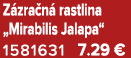 Z zra n rastlina „Mirabilis Jalapa“ 1581631 7.29 €