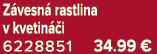 Z vesn rastlina v kvetin  i 6228851 34.99 €